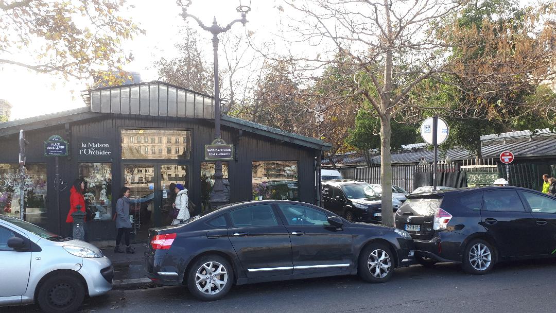 paris-marche-aux-fleurs-front-nov19