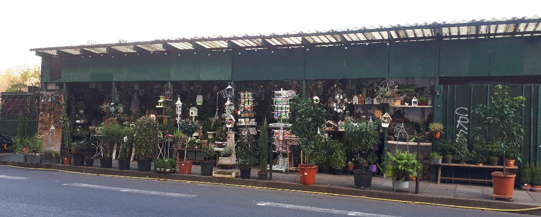 paris-marche-aux-fleurs-side-stall-nov19