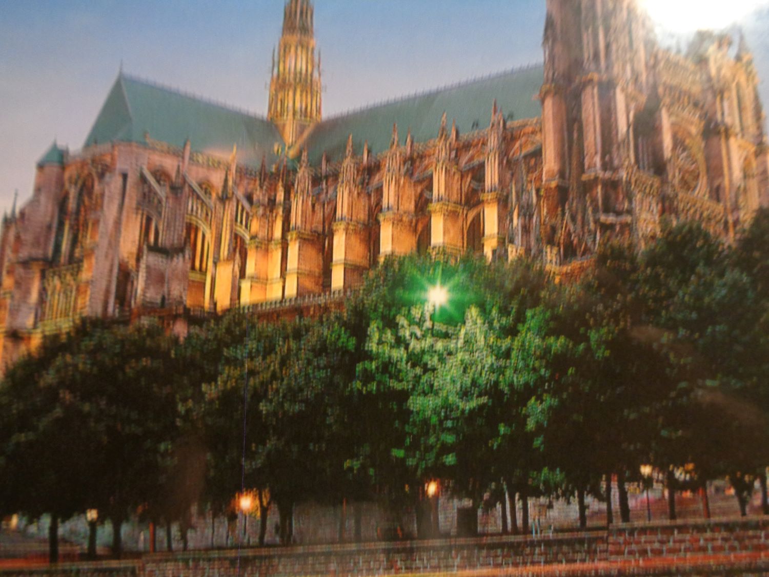 Amiens cathédrale Notre Dame side from garden