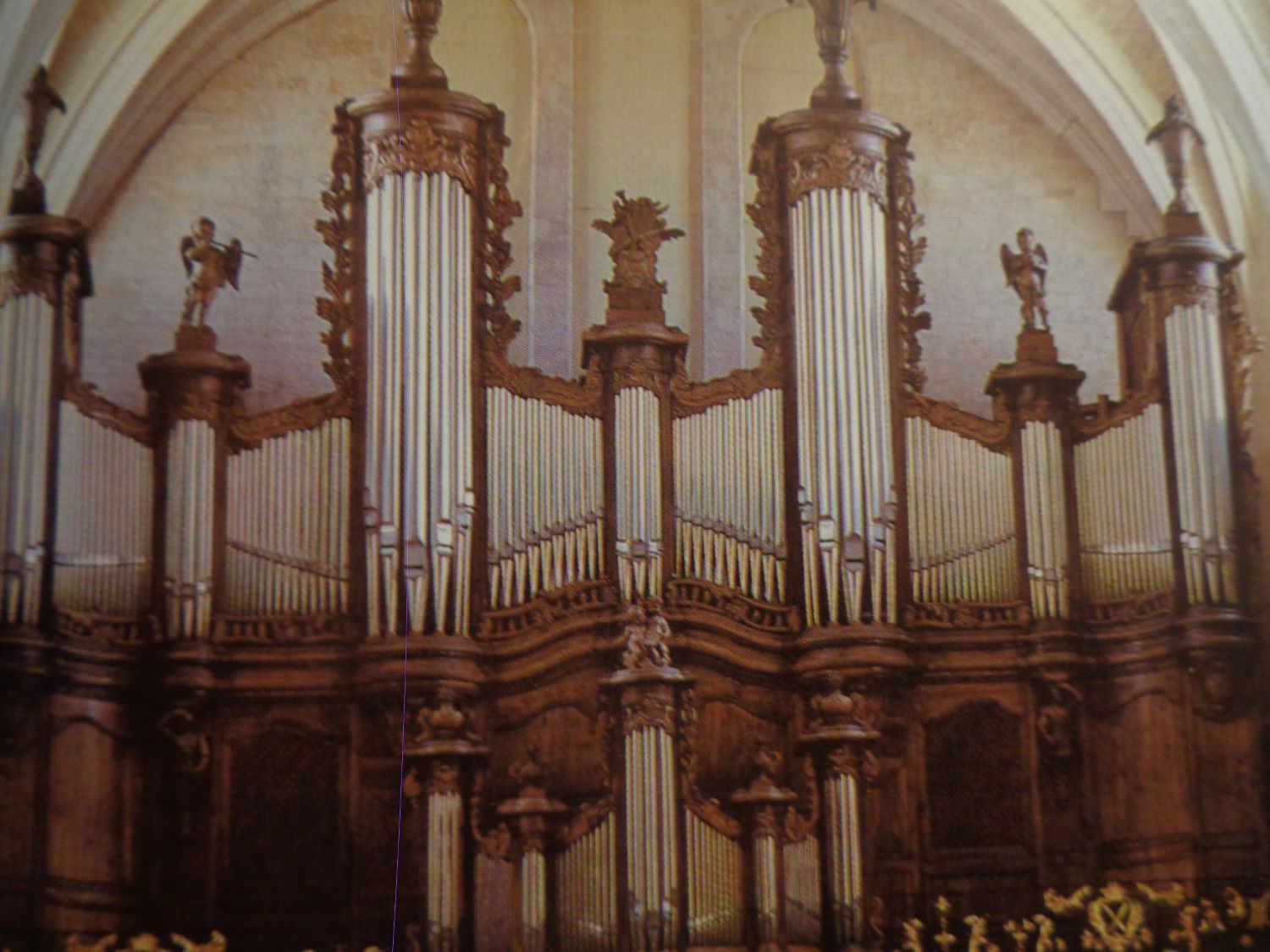 Bordeaux cat Saint André organ back c2005
