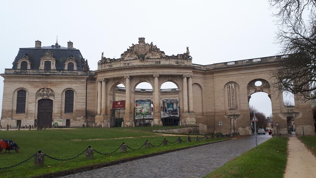 chan-stables-closeup-nov19