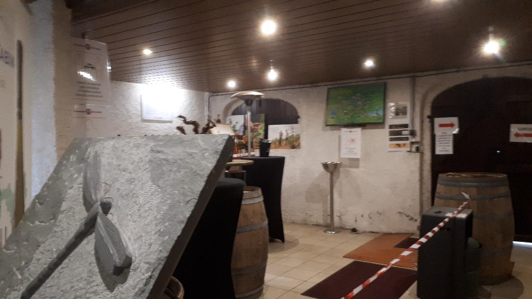 chat-thebaud-dom-poiron-dabin-boutique-cash-registers-jun20