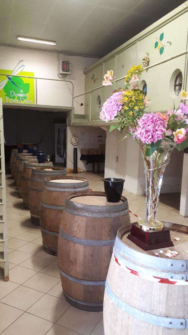 chat-thebaud-dom-poiron-dabin-tasting-cellars-big-jun20