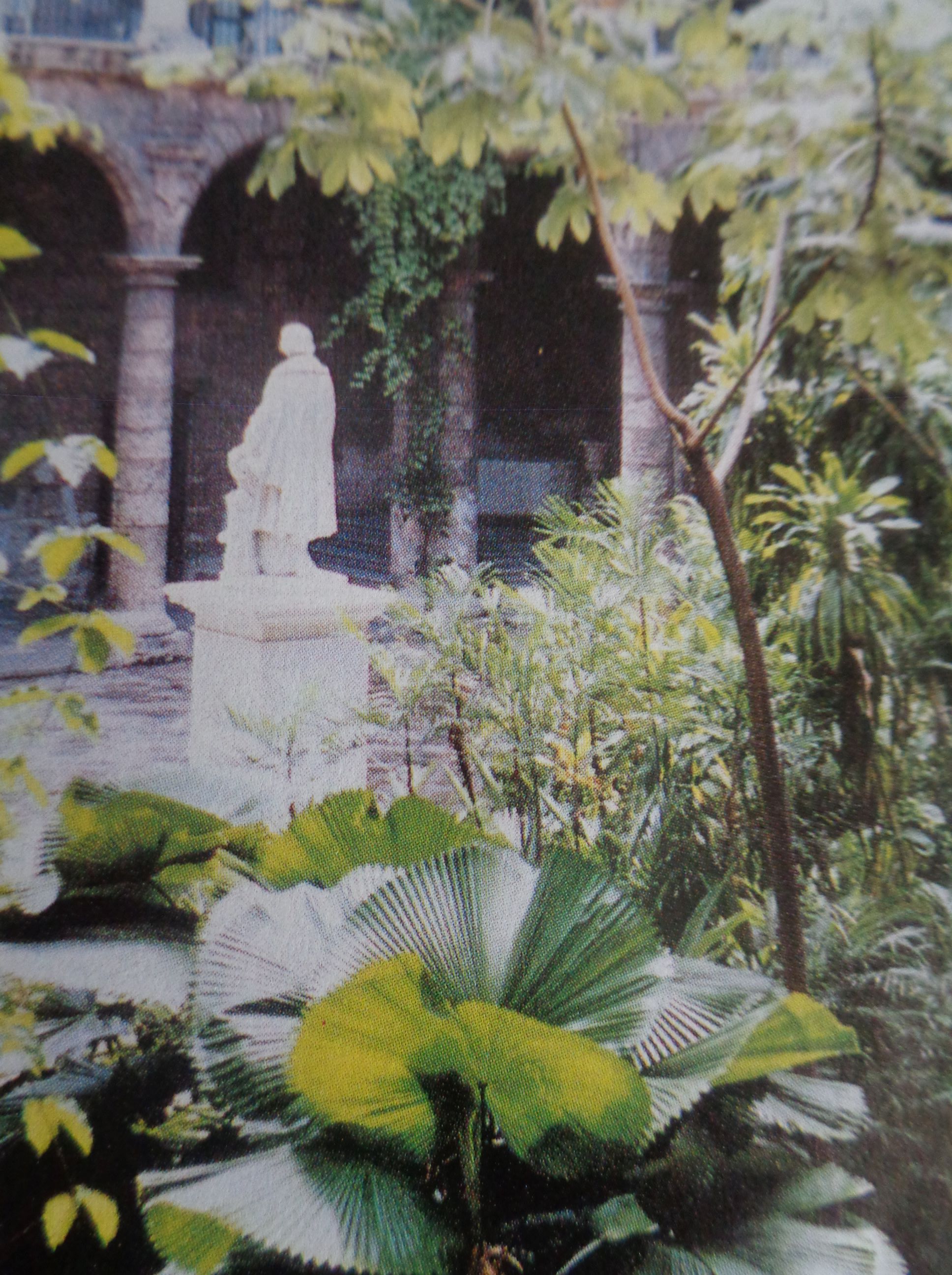 Havana palacio capitanes generales patio statue Colon