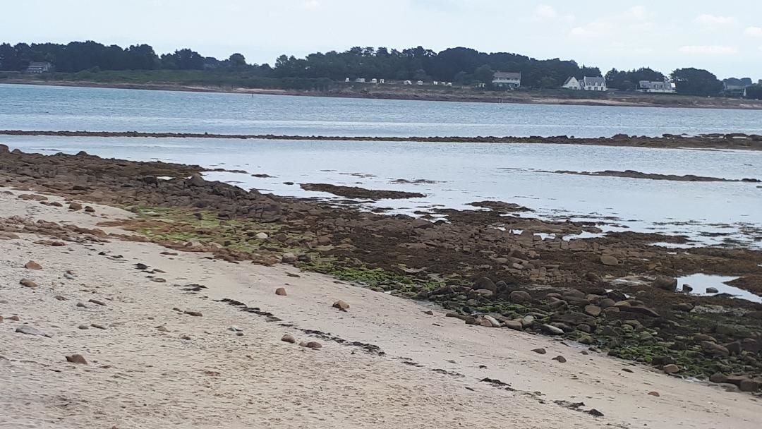 La Trinité sur Mer pointe de Kerbihan plage aug24