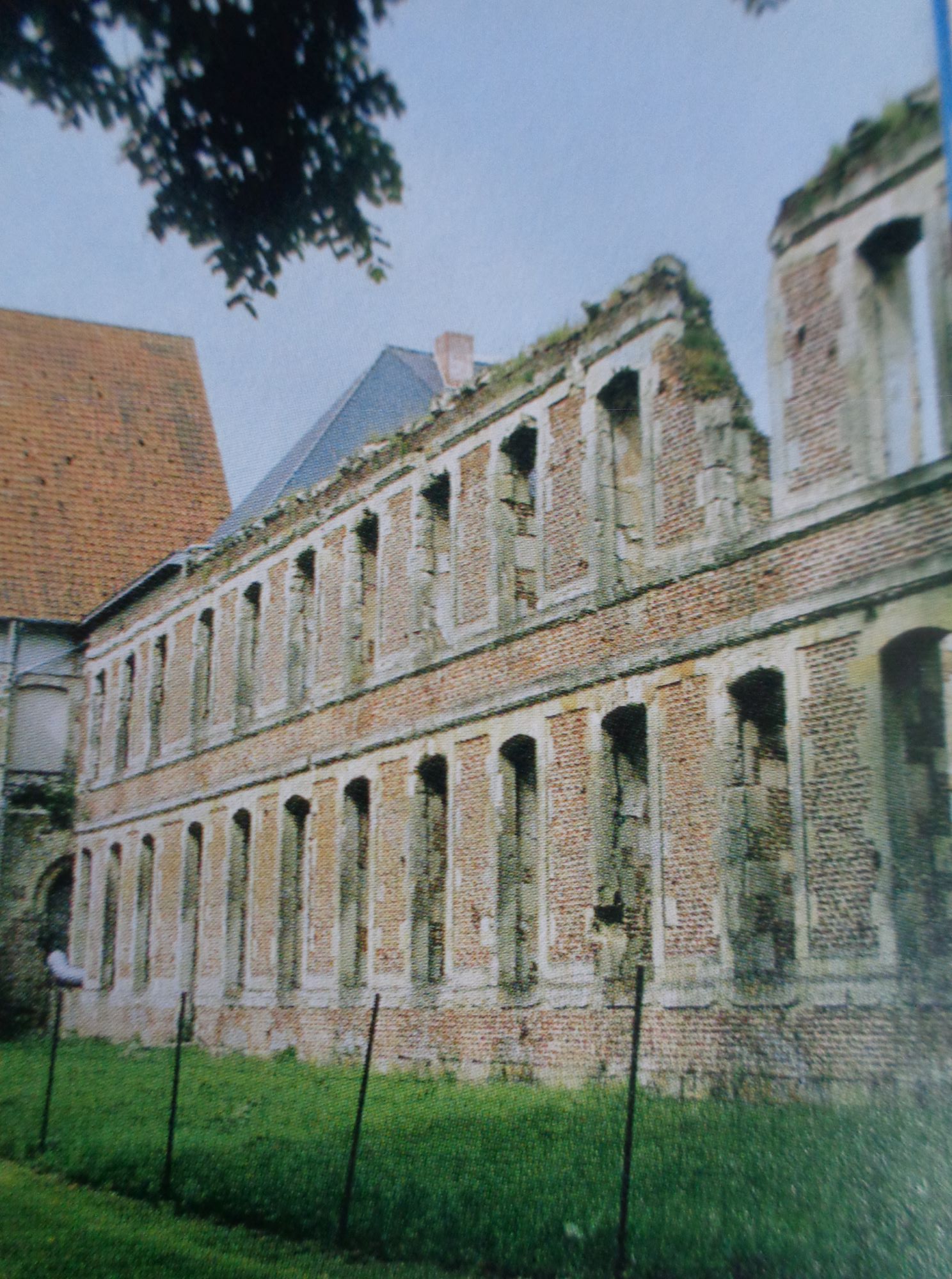 Abbaye de Vaucelles ruins c2009