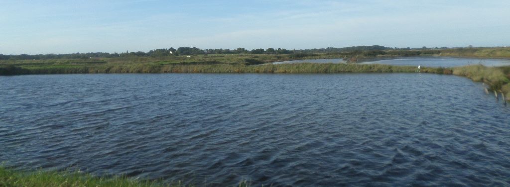 asserac-marais-salants-de-pont-d-arme-oct19