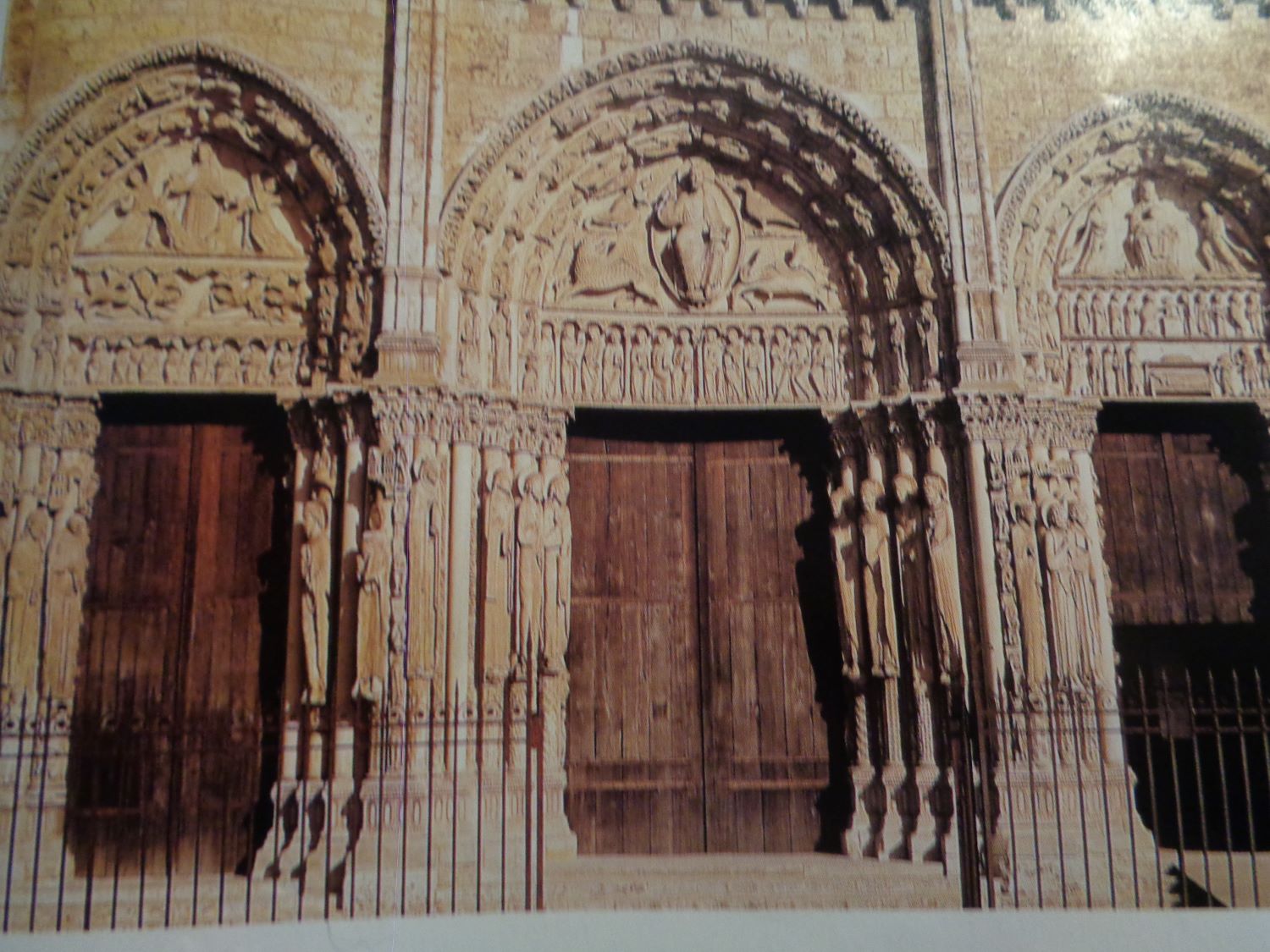 Chartres cat Notre Dame porch unity of the trinity c2008