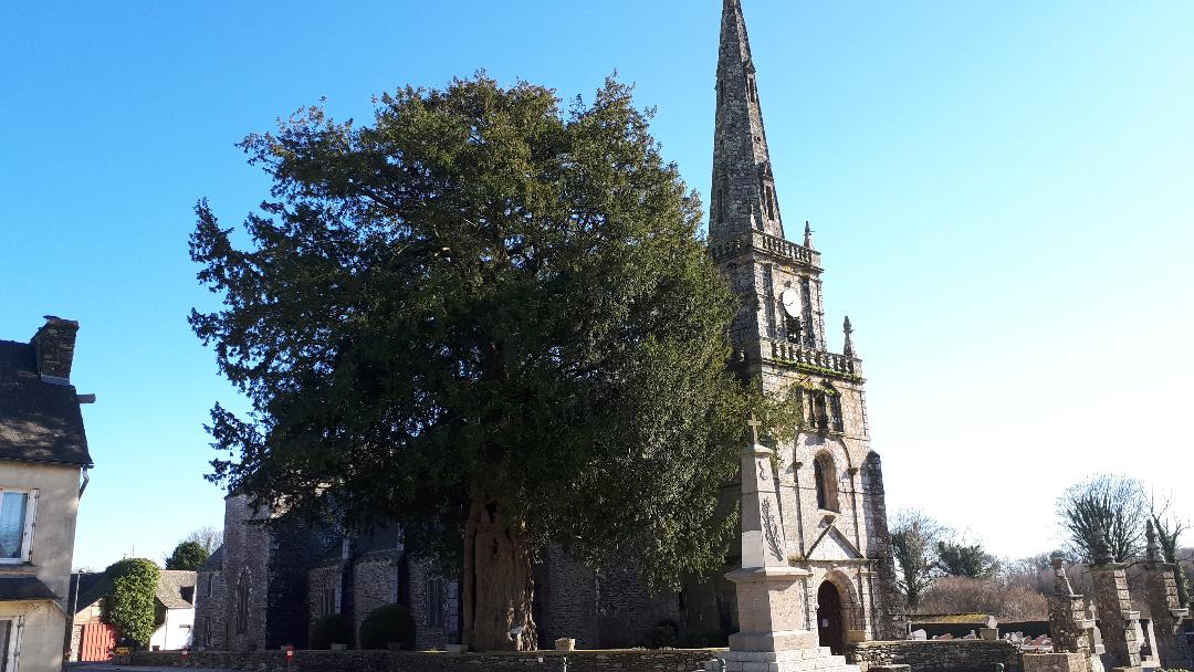 Saint Mayeaux ch side feb20