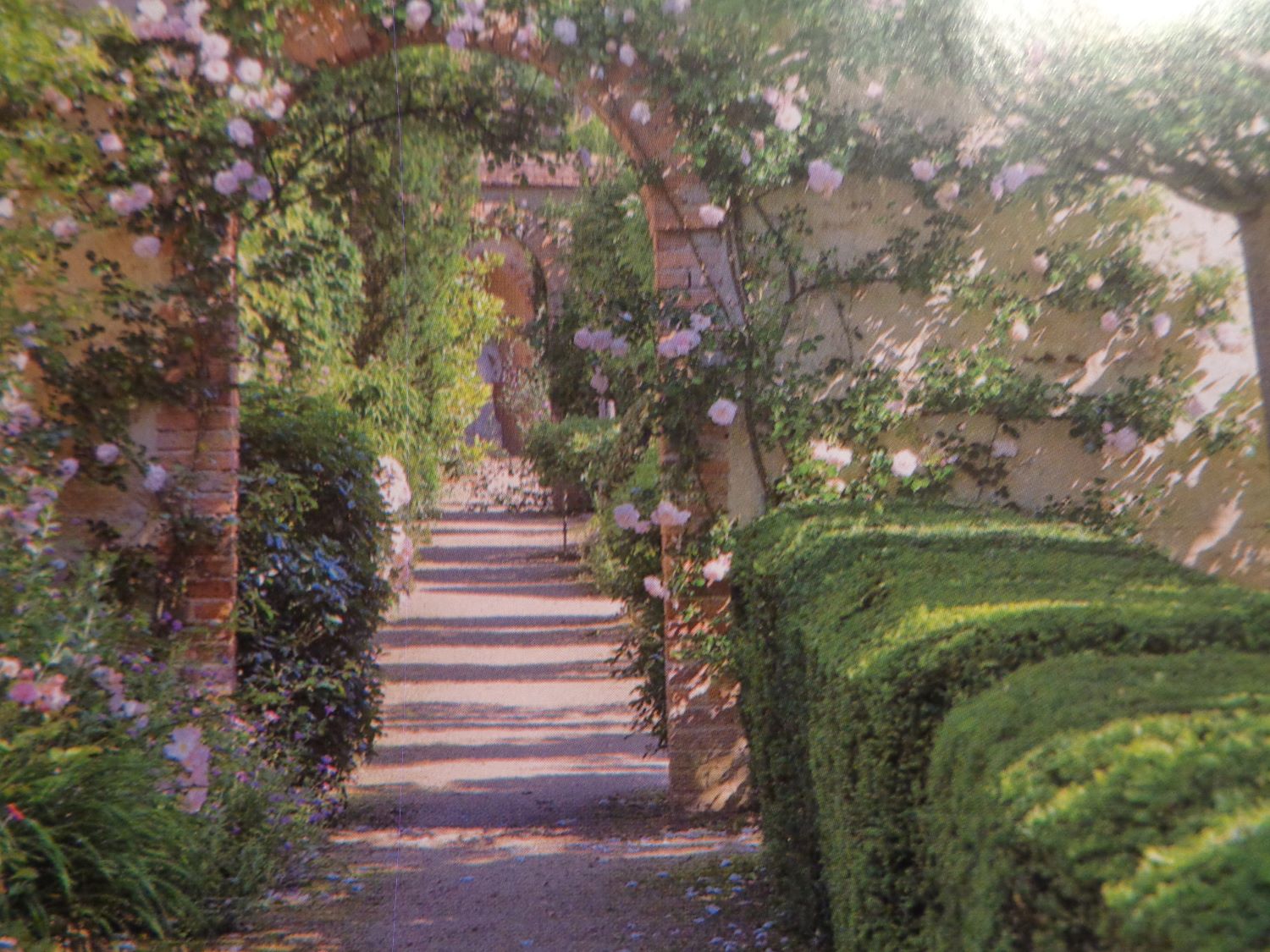 Ainay-le-Vieil Château 17C gardens c2009