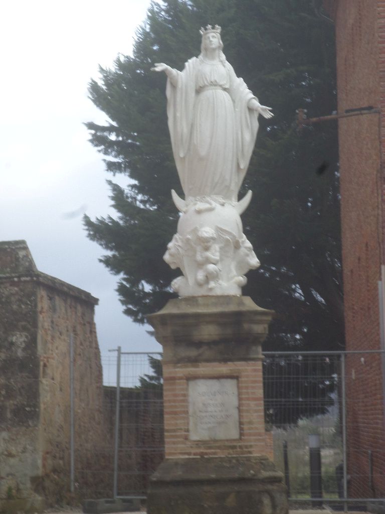 lavaur cat st alain outside virgin jan20