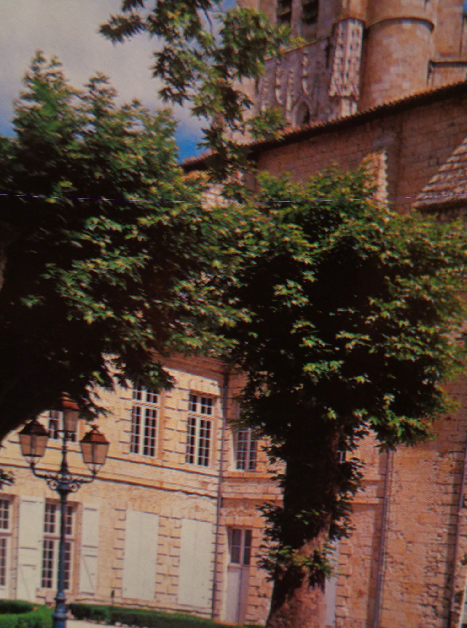 Lectoure jardin des Marroniers right belltower cathedral c2009