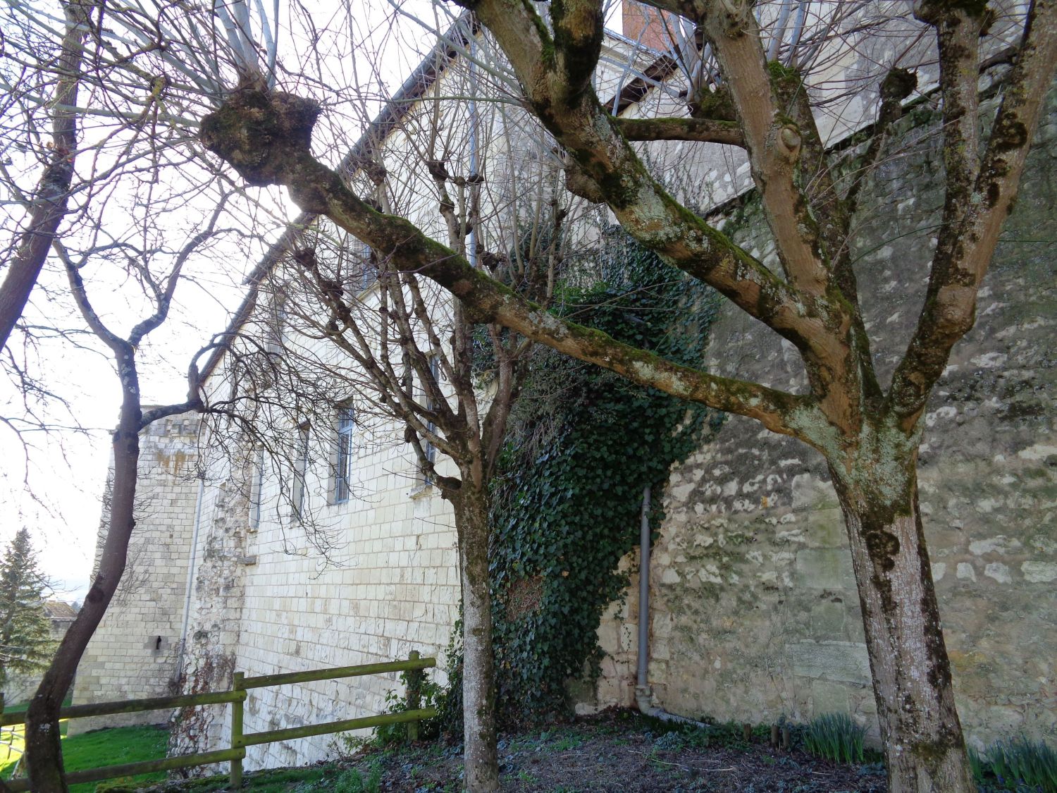 Ste Maure de Touraine chateau des rohan back feb22