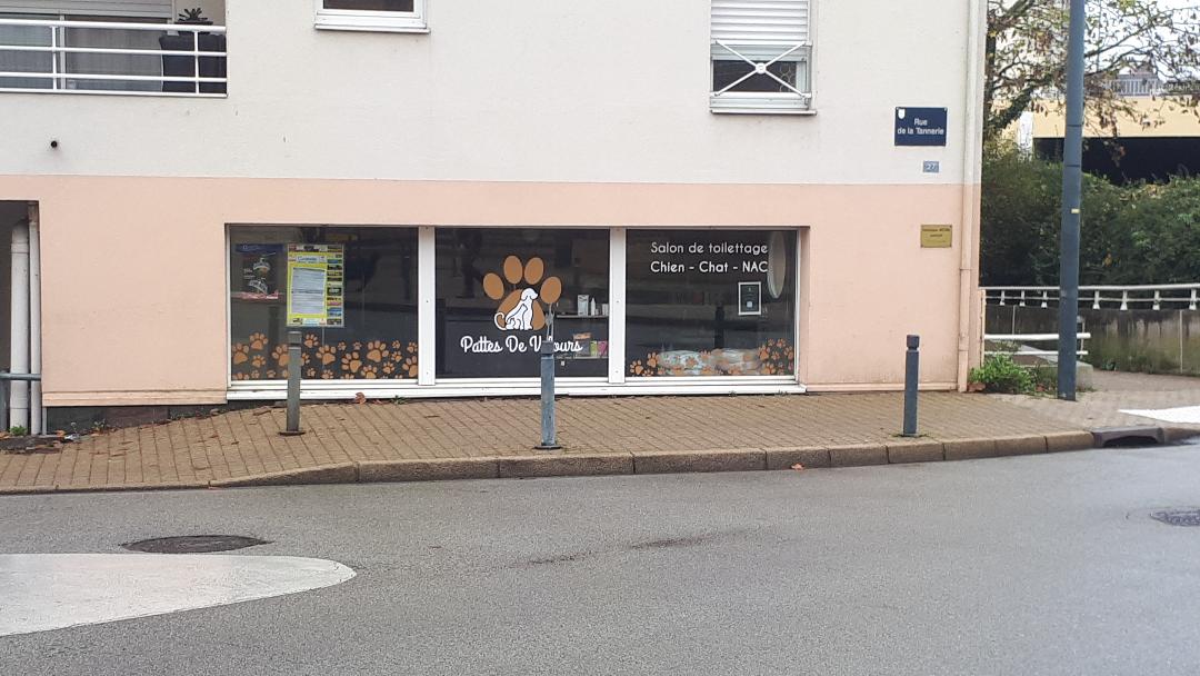 Vannes pattes de velours Rex bath and haircut side nov24