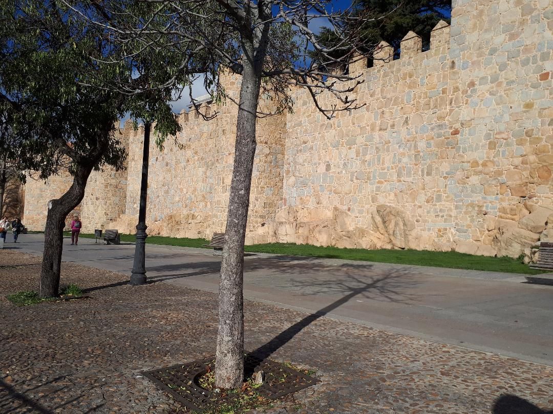 Avila walls Paseo del Rastro trees dec24