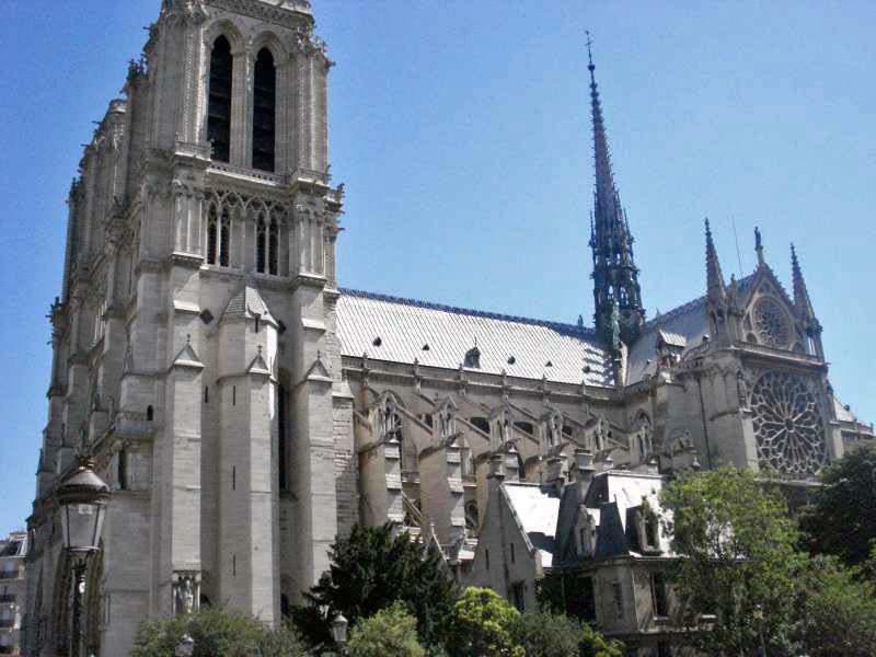 Paris Cat Notre Dame side nov10