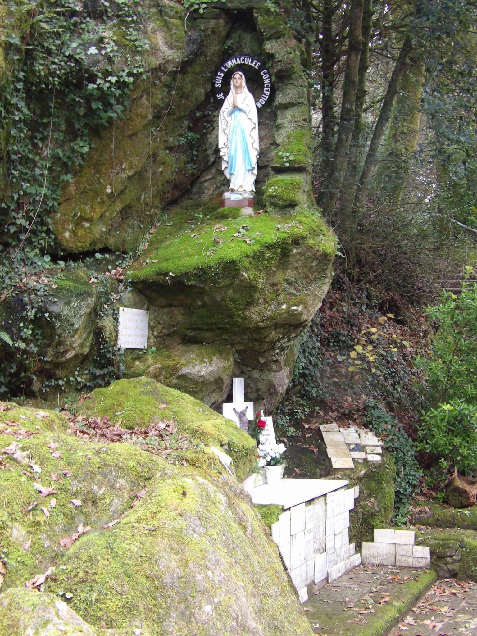 KODAK Digital Still Camera