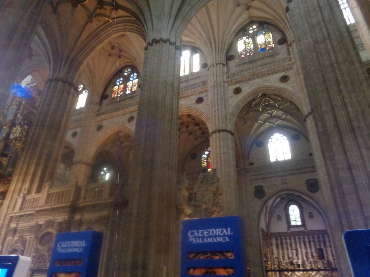 Salamanca catedral nueva ceiling walls dec24