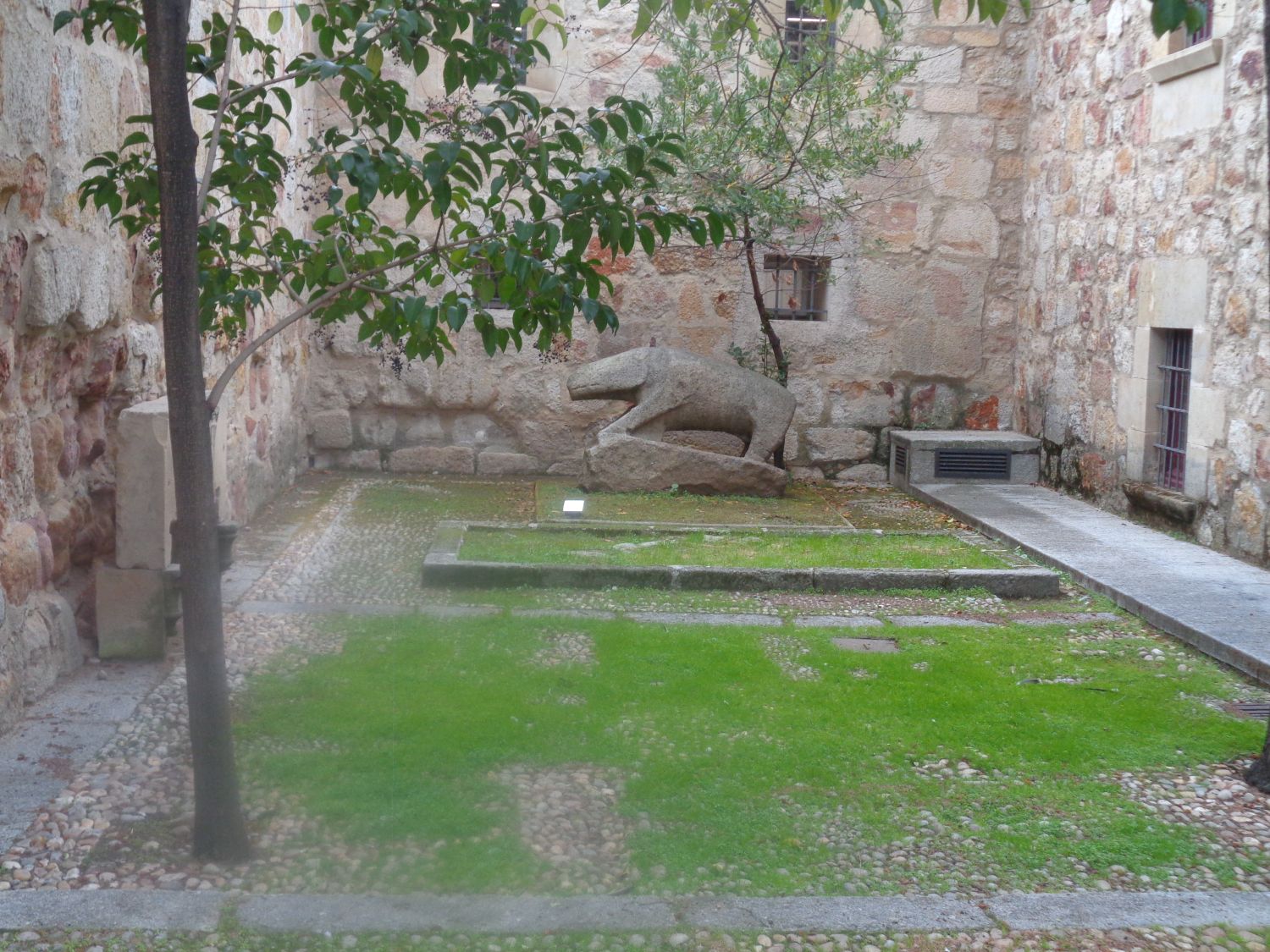 Salamanca museo de salamanca celtic bull dec24
