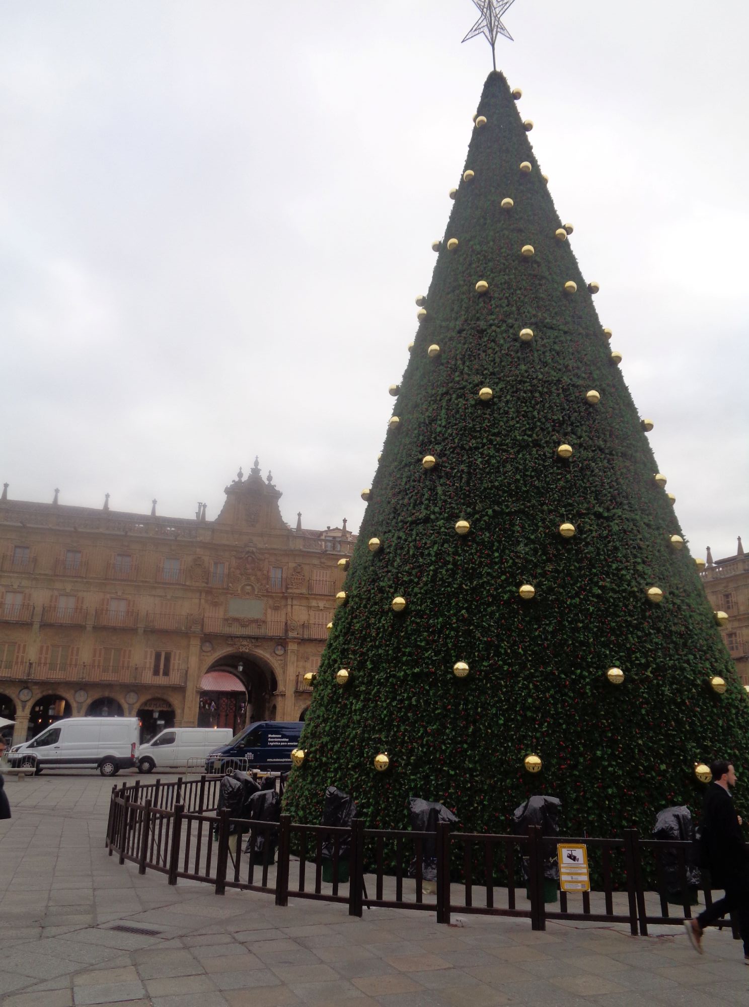 Salamanca plaza Mayor Christmas tree dec24