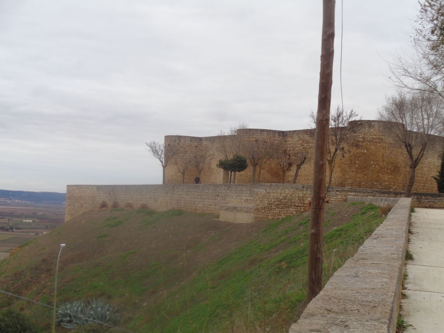 Toro Alcazar arriving dec24