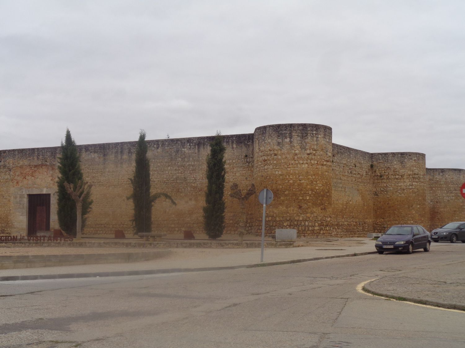 Toro Alcazar side dec24