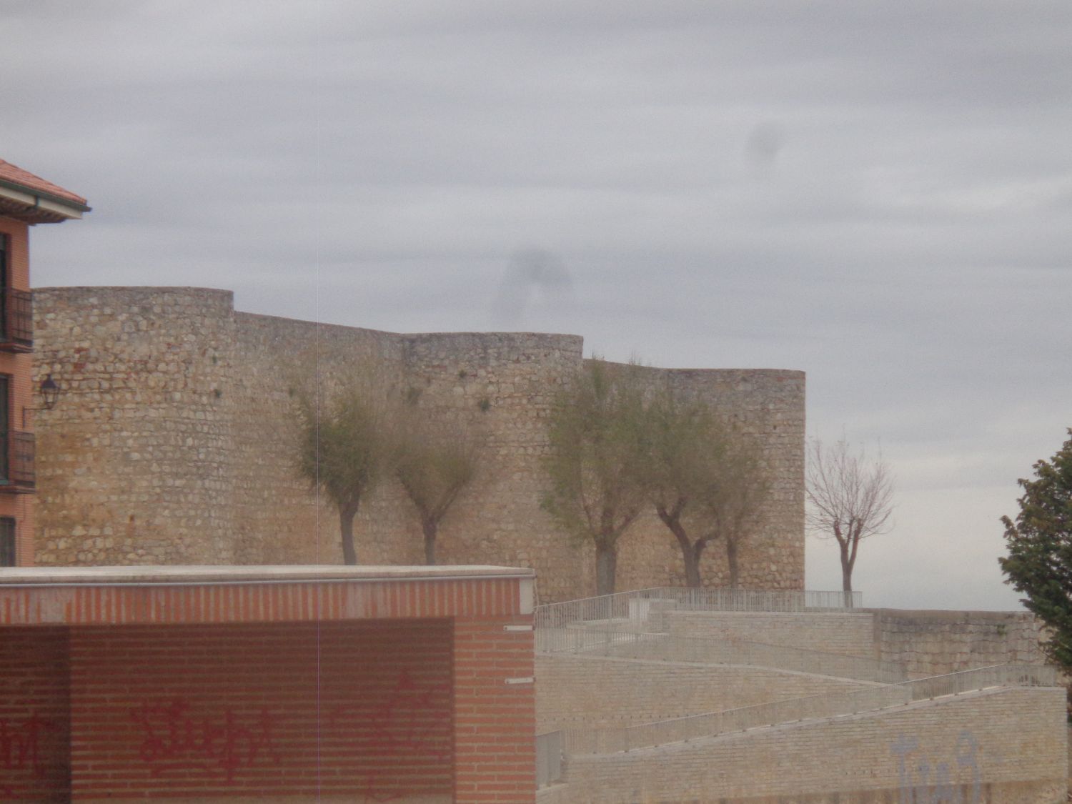 Toro Alcazar side far dec24