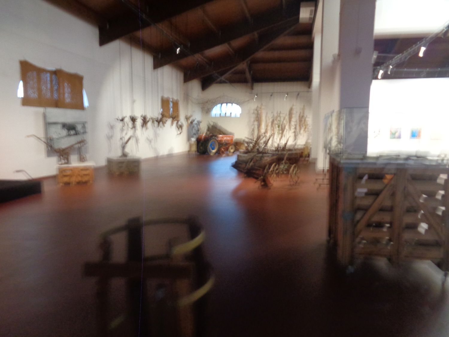 Toro Bodega Fariña showroom dec24