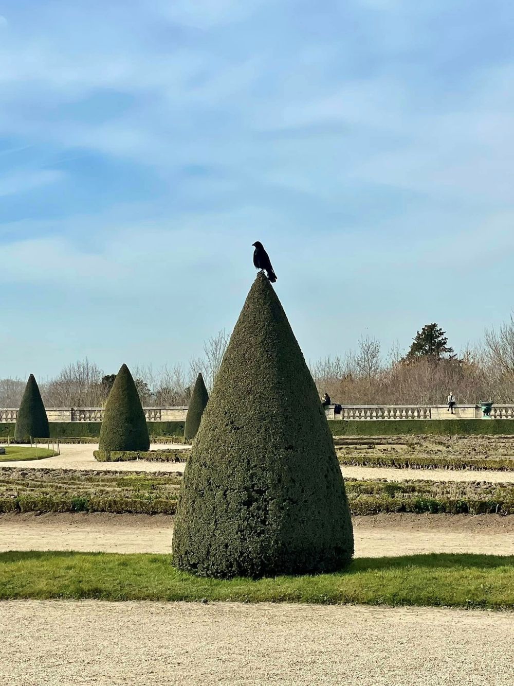 Versailles château parterre du Midi dec24