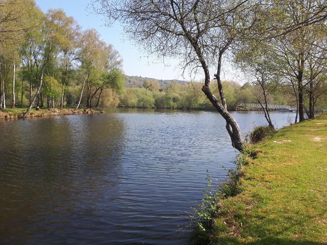 Brandivy etang de la foret right apr21